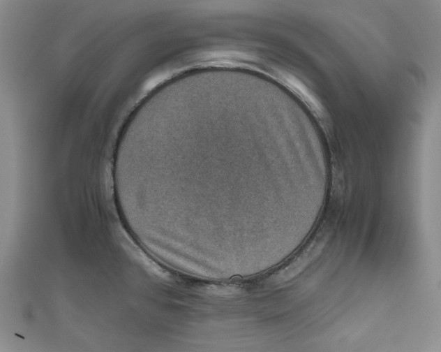 X0000110891384200907091345