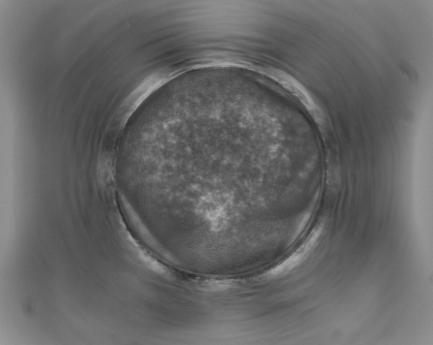 X0000110891385200907091345