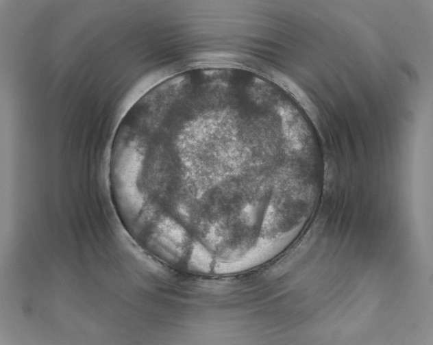 X0000110891386200907091345