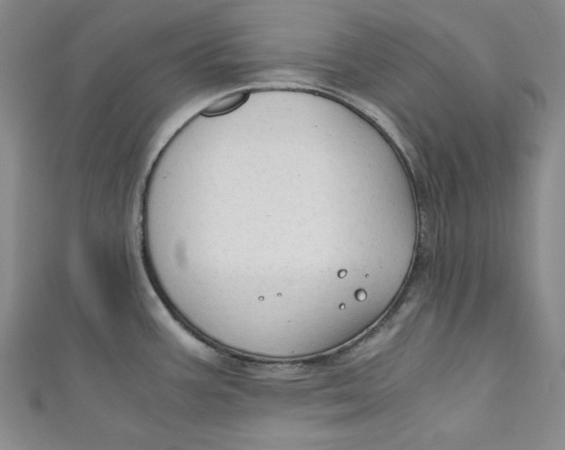 X0000110891387200907091345