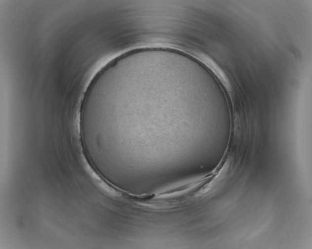 X0000110891388200907091345