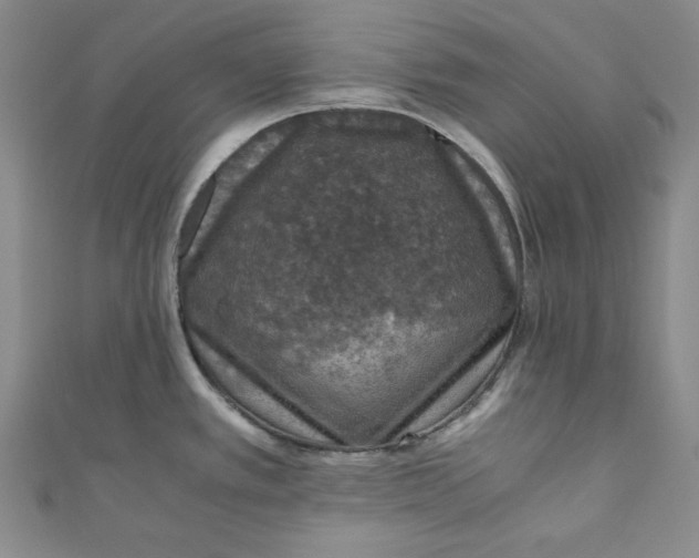 X0000110891389200907091345