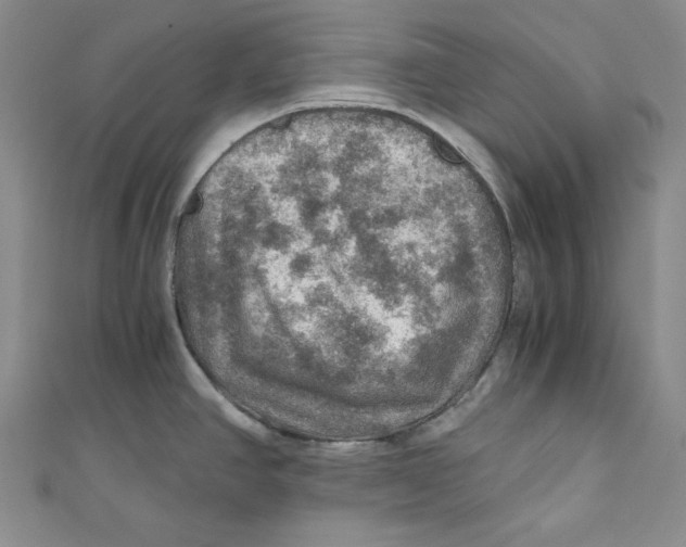 X0000110891390200907091345