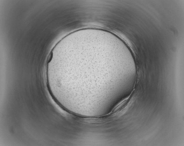 X0000110891391200907091345