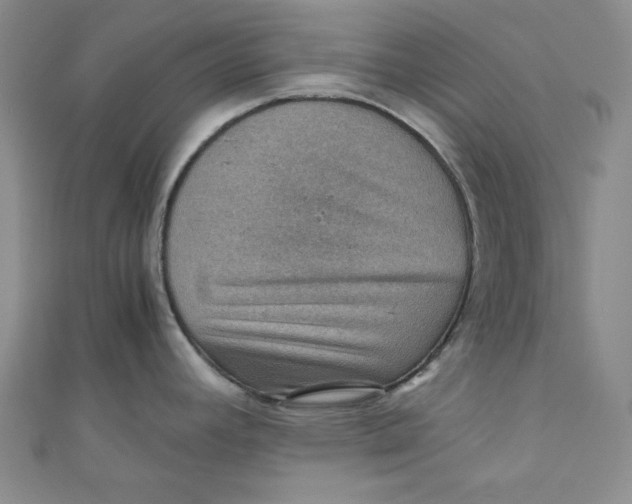 X0000110891392200907091345