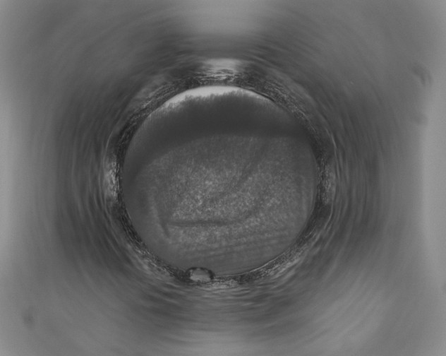 X0000110891394200907091344