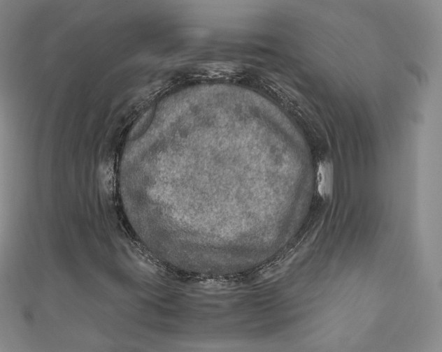 X0000110891395200907091344