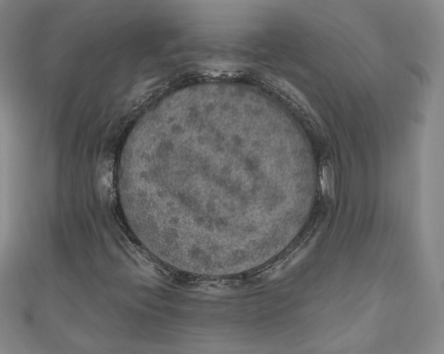 X0000110891396200907091344