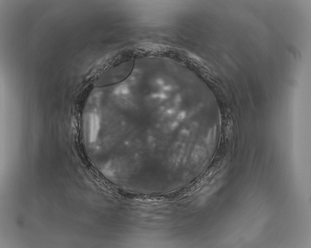 X0000110891397200907091344