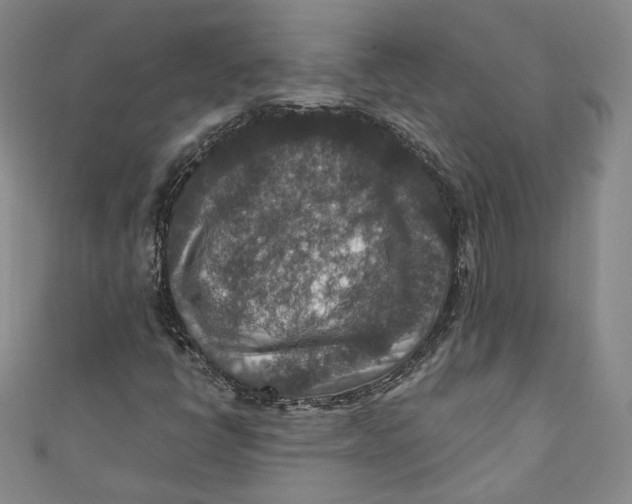 X0000110891398200907091344