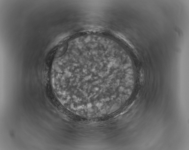 X0000110891399200907091344