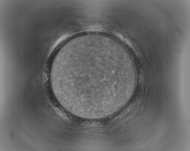 X0000110891400200907091344