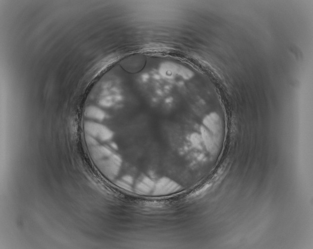 X0000110891401200907091344