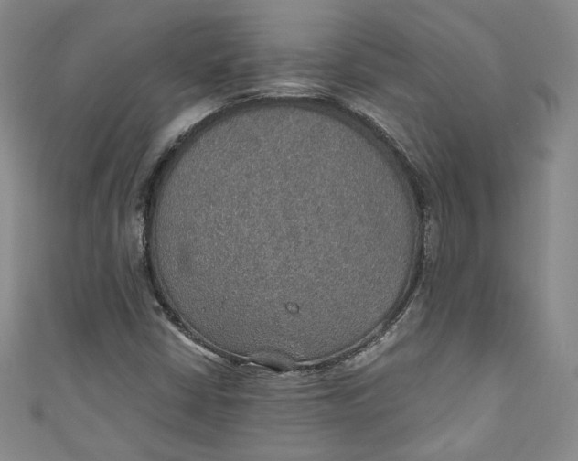 X0000110891402200907091344