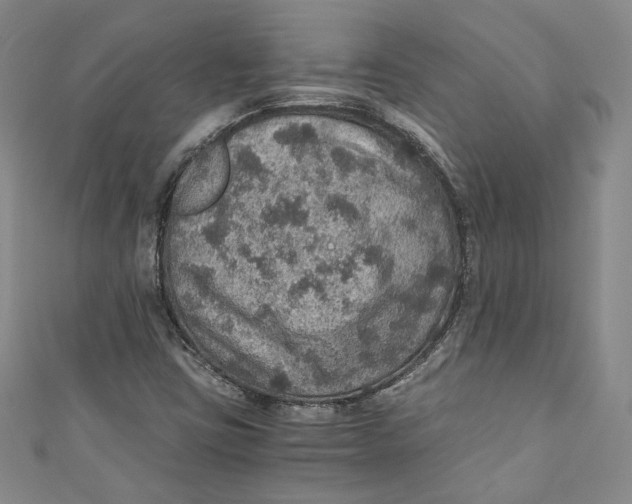 X0000110891403200907091344