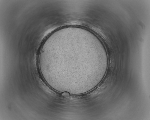 X0000110891404200907091344