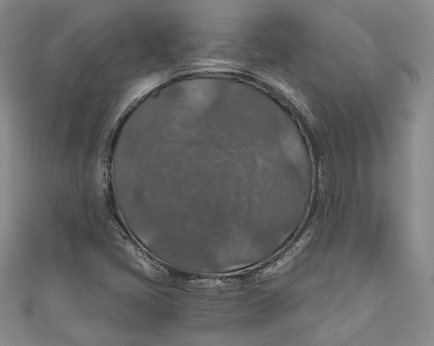 X0000110891405200907091344