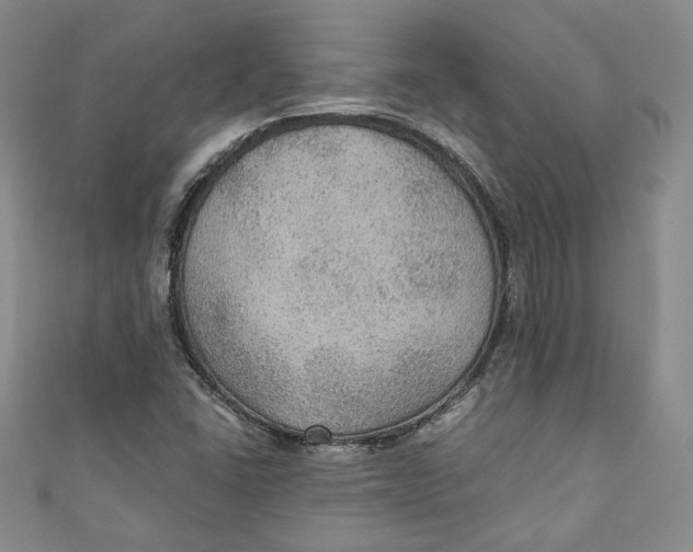 X0000110891406200907091344