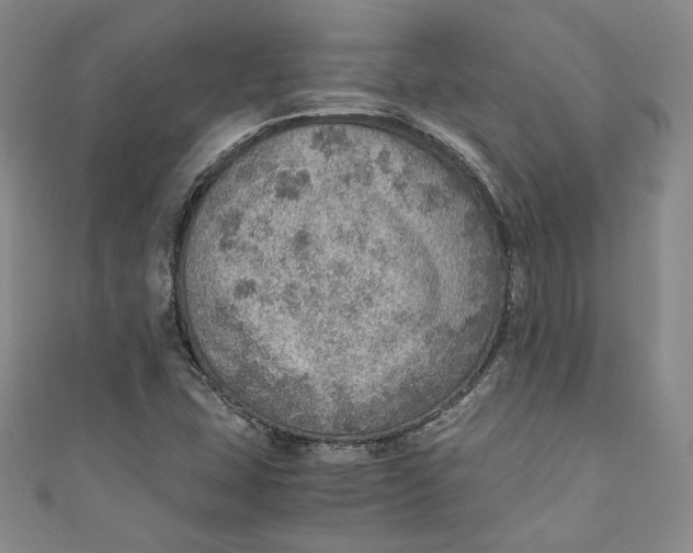 X0000110891407200907091344