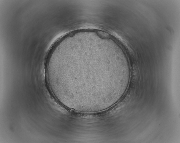 X0000110891408200907091344