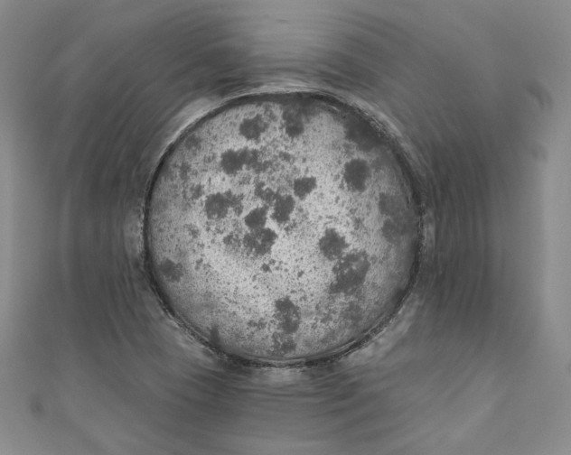 X0000110891409200907091344