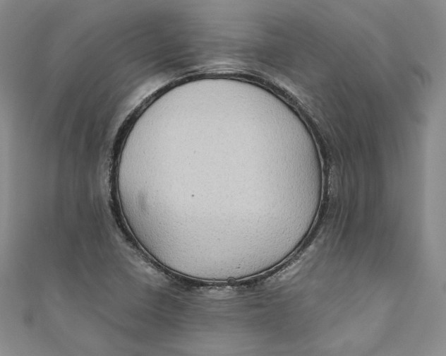 X0000110891410200907091344