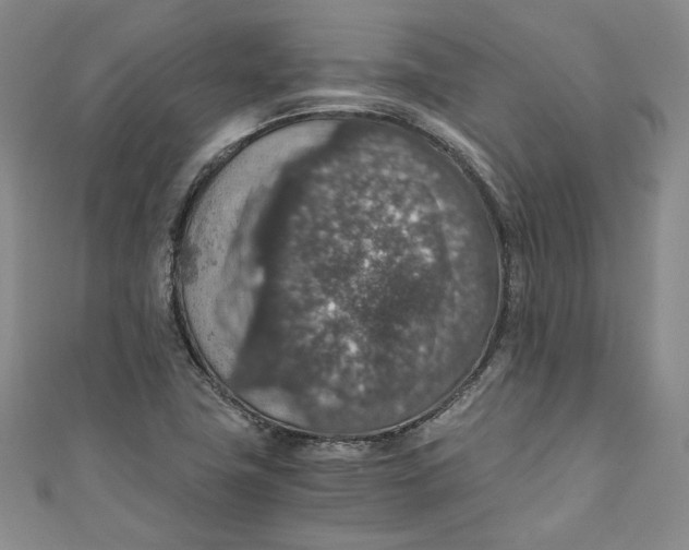 X0000110891411200907091344