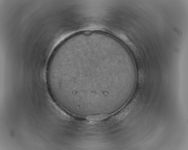 X0000110891412200907091344