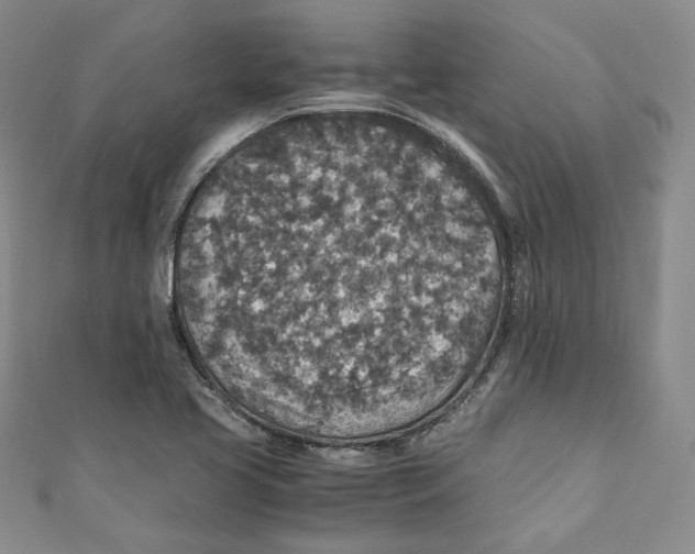 X0000110891413200907091344