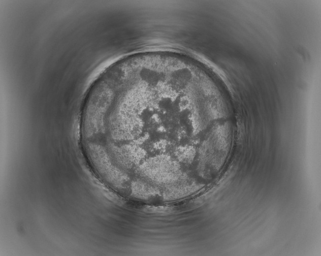 X0000110891415200907091344