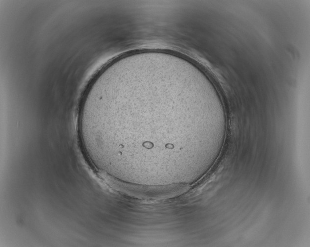 X0000110891416200907091344