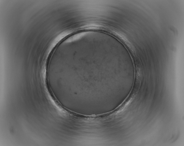 X0000110891418200907091344