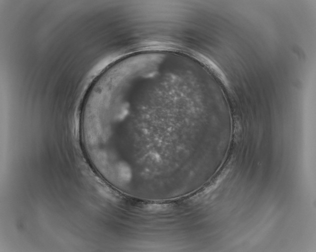 X0000110891419200907091344