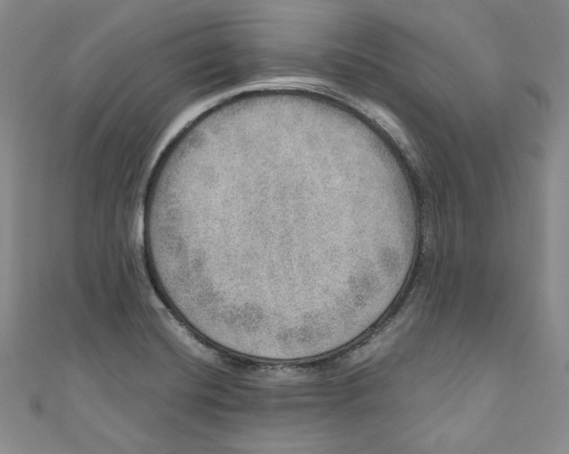 X0000110891420200907091344