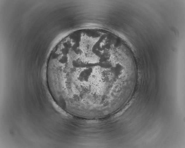 X0000110891421200907091344