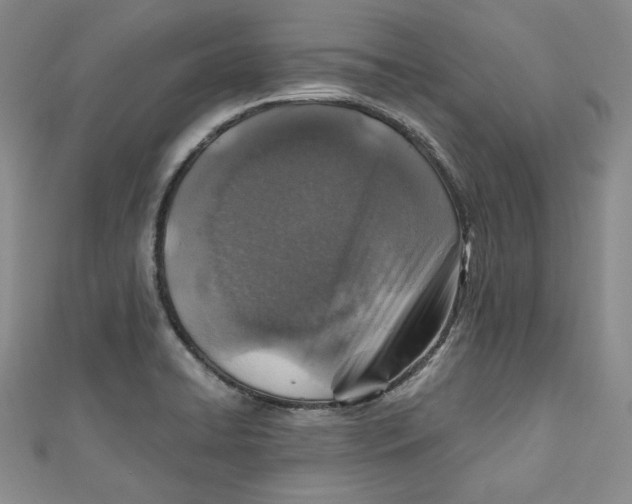 X0000110891422200907091345