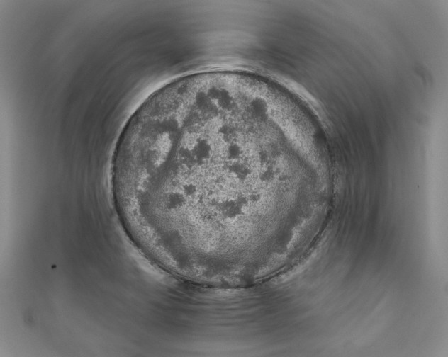 X0000110891423200907091345