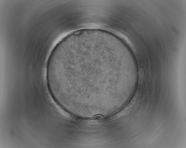 X0000110891424200907091345