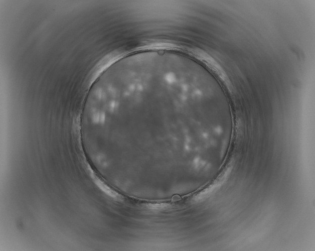 X0000110891425200907091345