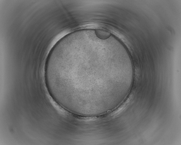 X0000110891426200907091345