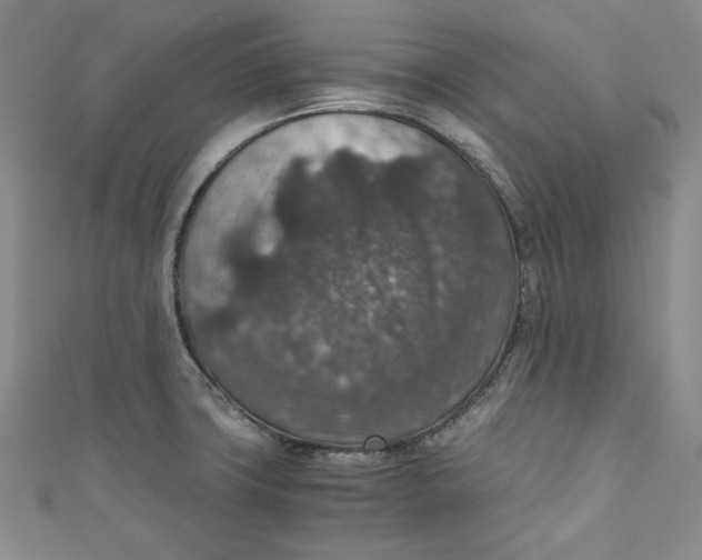 X0000110891427200907091345