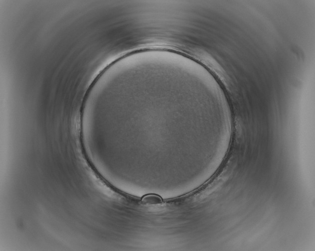 X0000110891428200907091345