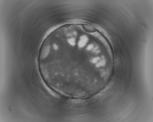 X0000110891429200907091345