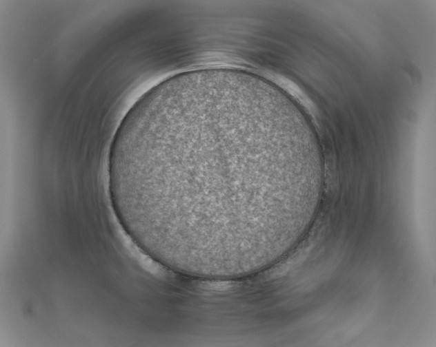 X0000110891431200907091345