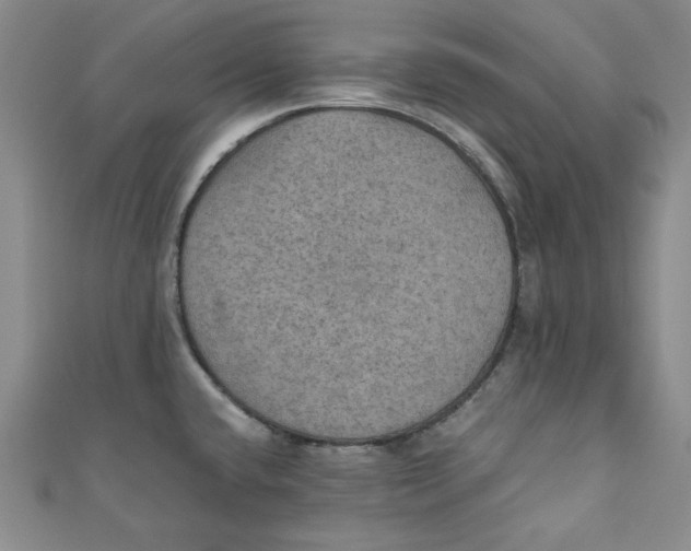 X0000110891432200907091345