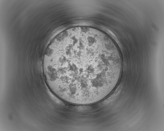 X0000110891433200907091345