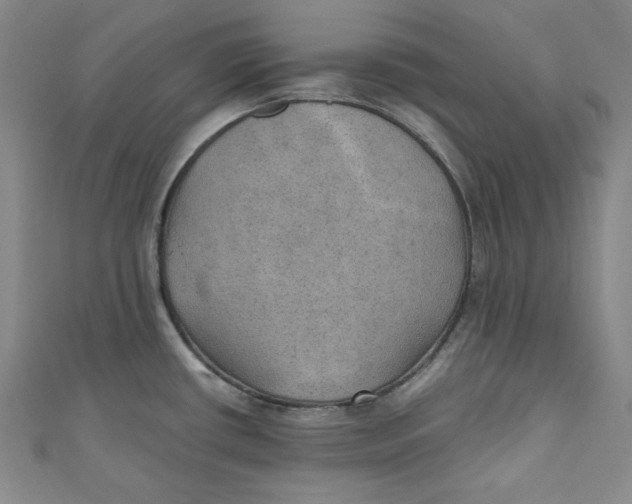 X0000110891434200907091345