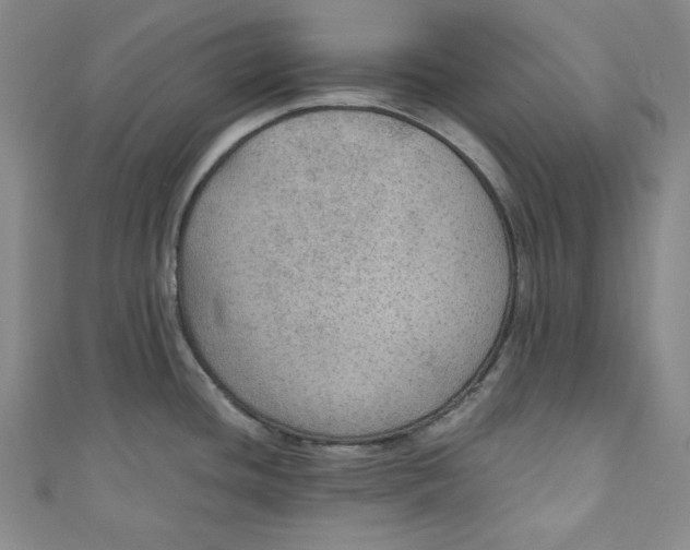 X0000110891436200907091345