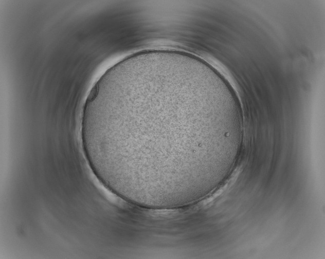 X0000110891437200907091345