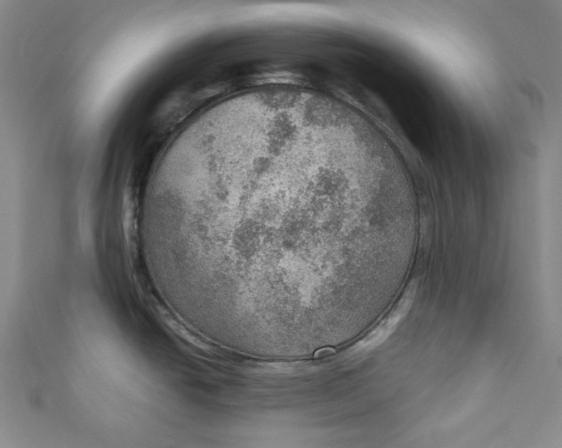 X0000110891438200907091345